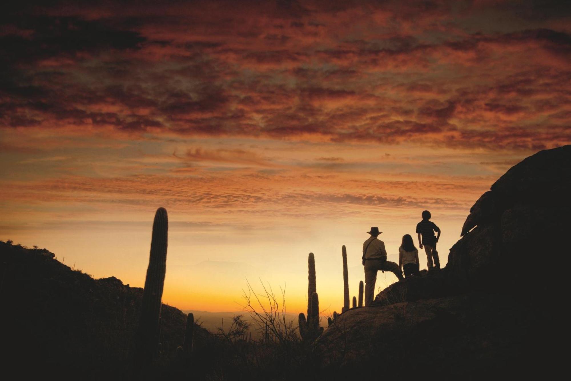 The Ritz-Carlton, Dove Mountain Hotell Marana Eksteriør bilde