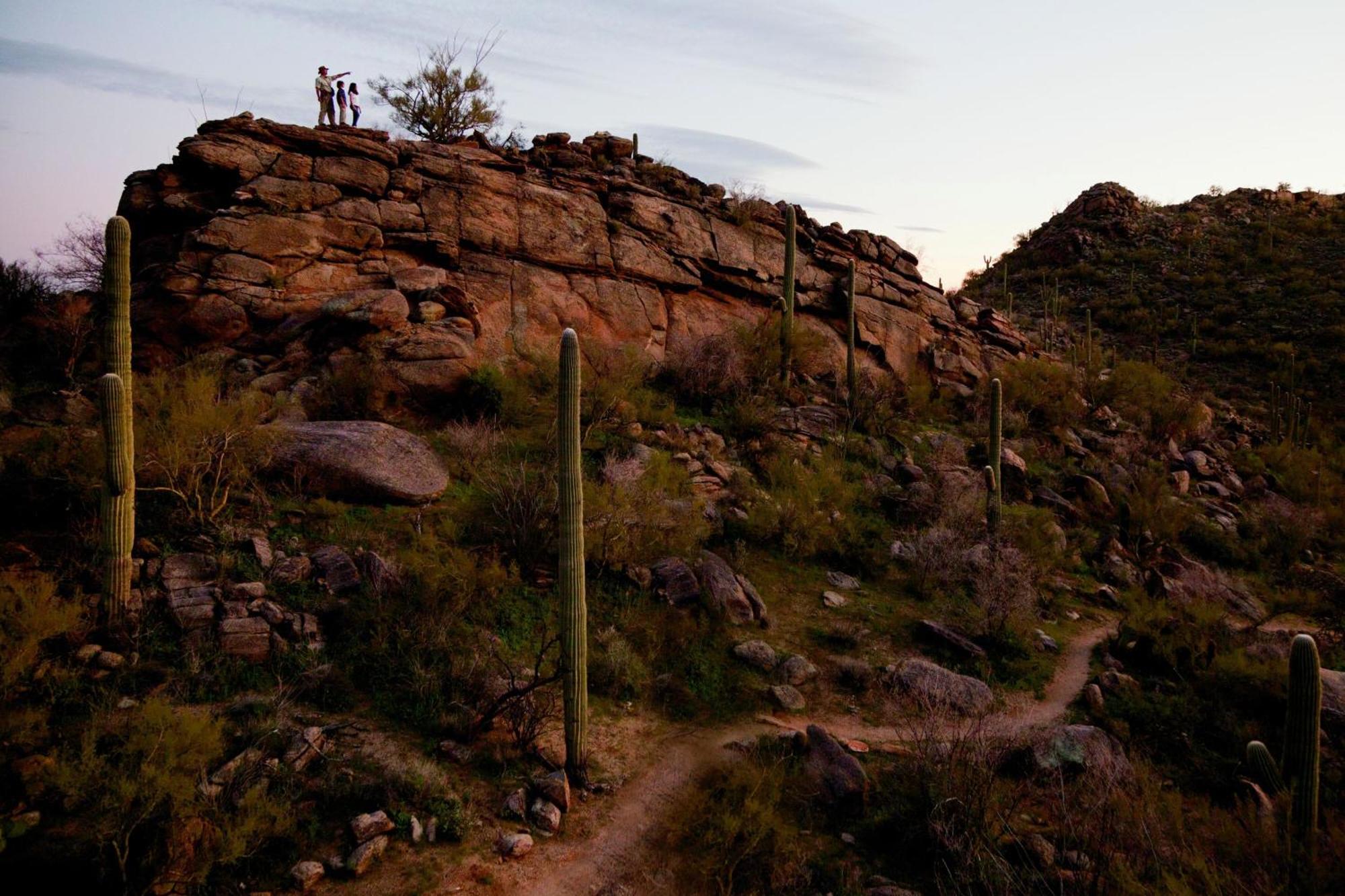 The Ritz-Carlton, Dove Mountain Hotell Marana Eksteriør bilde