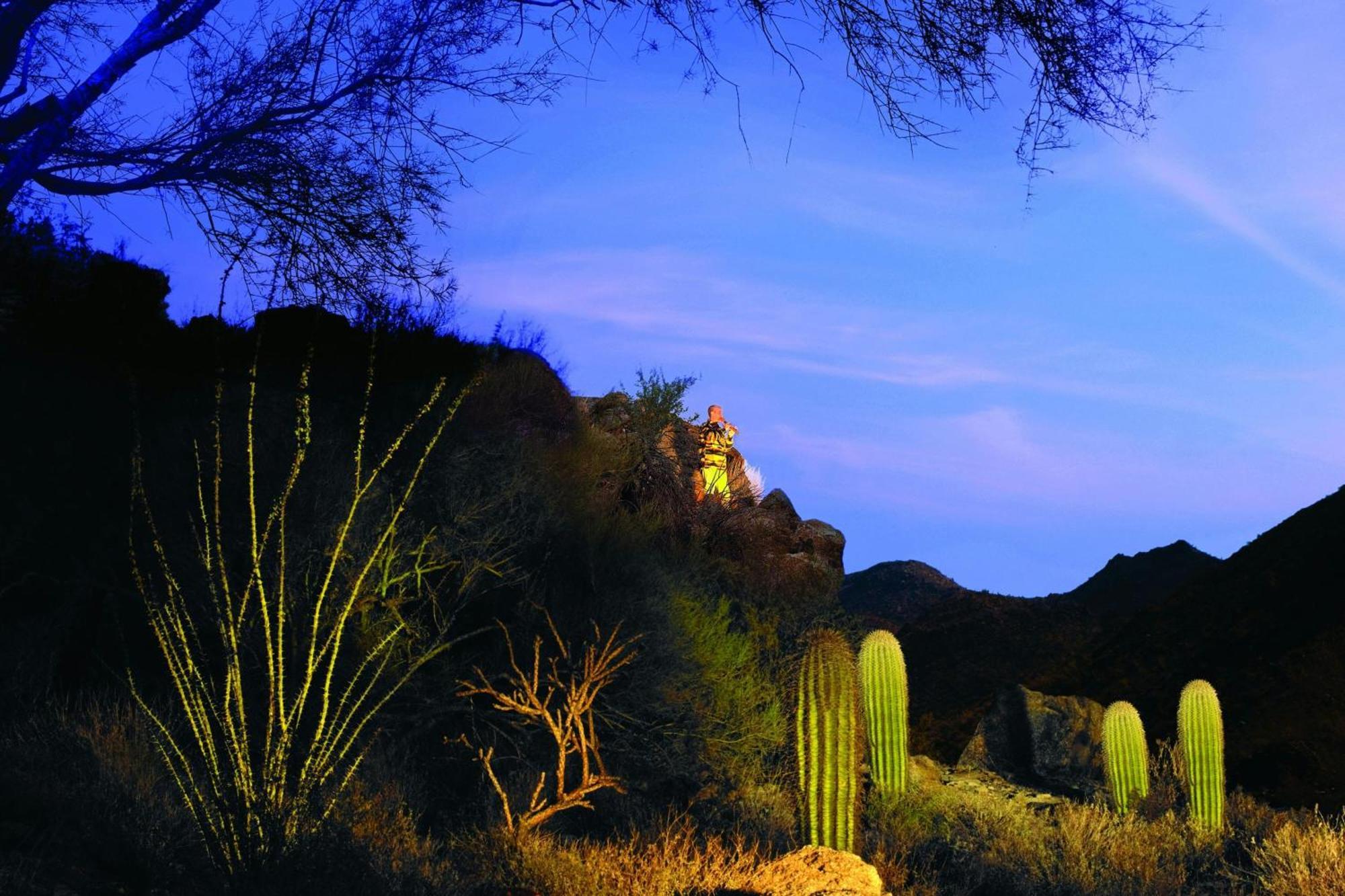 The Ritz-Carlton, Dove Mountain Hotell Marana Eksteriør bilde